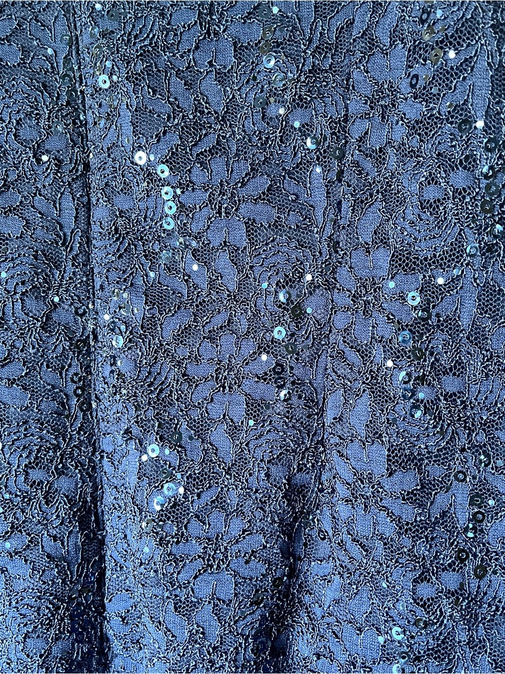Alex Evenings Sequin Embellished Lace Top Gown Size 16W NWOT - Picture 10 of 14
